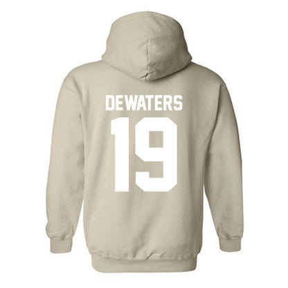 USF - NCAA Softball : Abbie DeWaters - Classic Shersey Hooded Sweatshirt-1