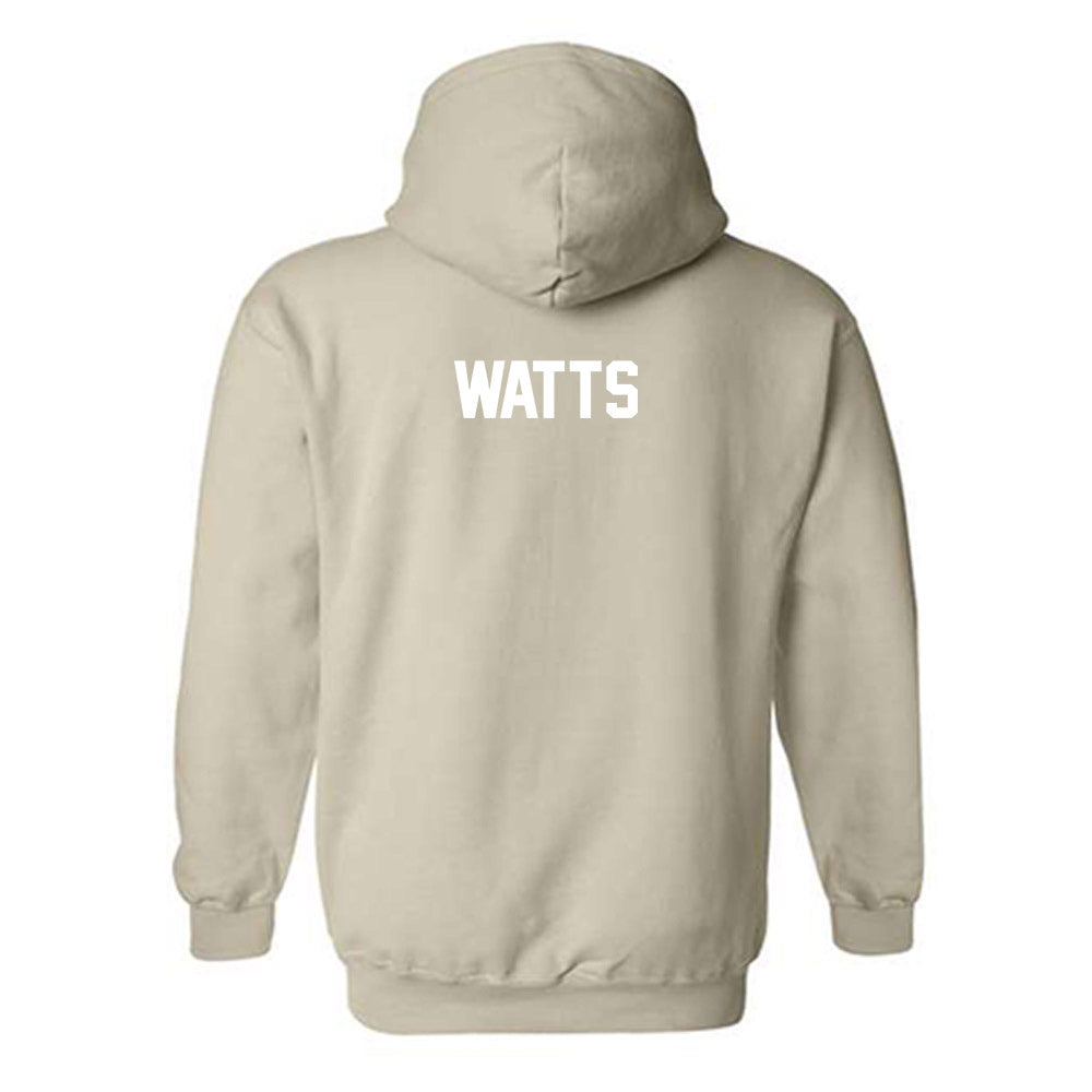 USF - NCAA Women's Track & Field : Skyler Watts - Classic Shersey Hooded Sweatshirt