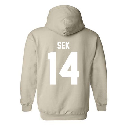 USF - NCAA Beach Volleyball : Josephine Sek - Classic Shersey Hooded Sweatshirt-1