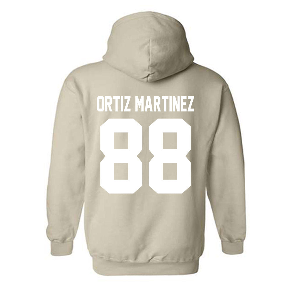 USF - NCAA Softball : Camille Ortiz Martinez - Classic Shersey Hooded Sweatshirt-1