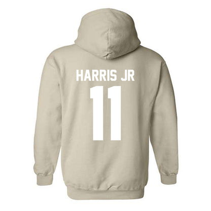 USF - NCAA Football : Derrick Harris Jr - Classic Shersey Hooded Sweatshirt