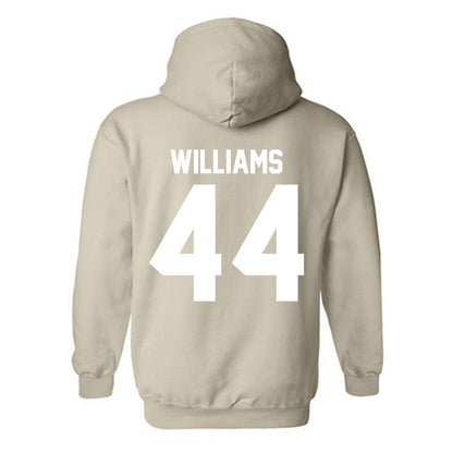 USF - NCAA Football : Jacquez Williams - Classic Shersey Hooded Sweatshirt