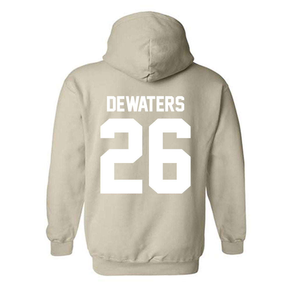 USF - NCAA Softball : Alice DeWaters - Classic Shersey Hooded Sweatshirt