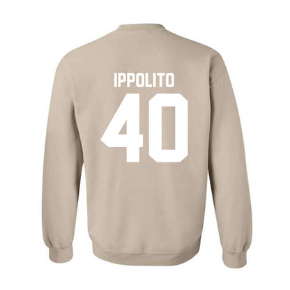 USF - NCAA Football : Ty Ippolito - Classic Shersey Crewneck Sweatshirt