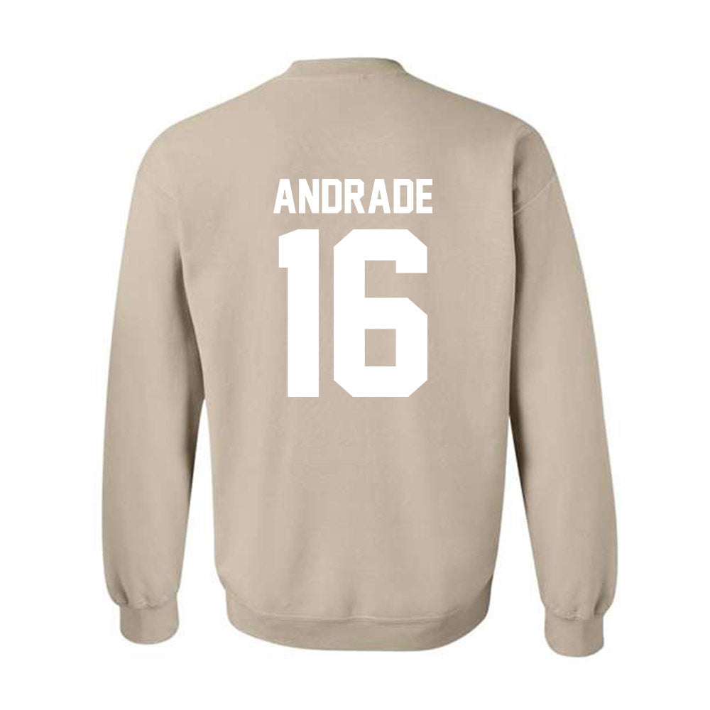 USF - NCAA Women's Volleyball : Maria Clara Andrade - Classic Shersey Crewneck Sweatshirt