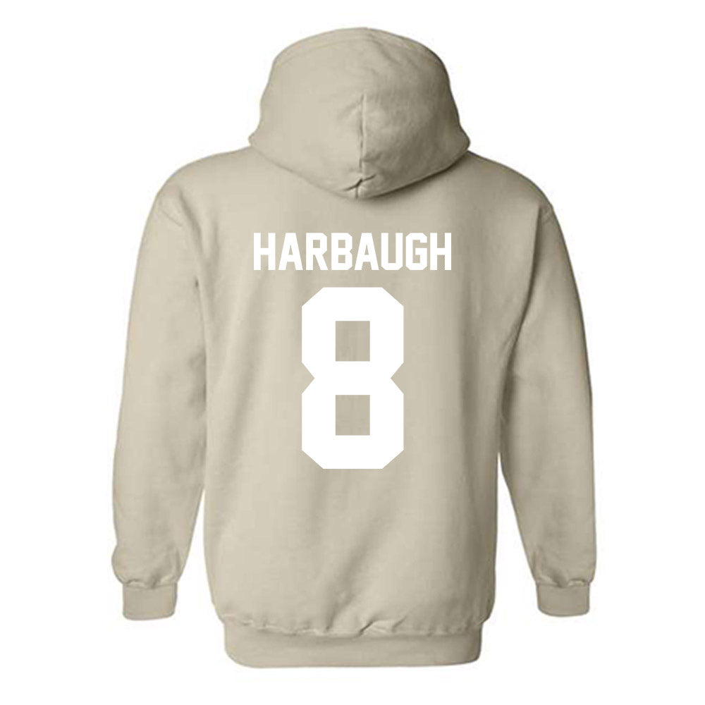 USF - NCAA Women's Lacrosse : Alison Harbaugh - Classic Shersey Hooded Sweatshirt