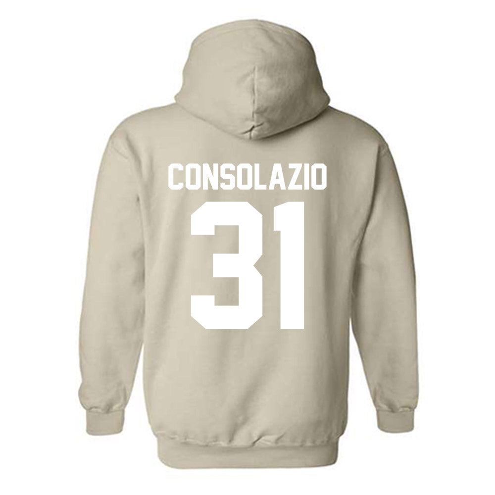 USF - NCAA Softball : Allana Consolazio - Classic Shersey Hooded Sweatshirt