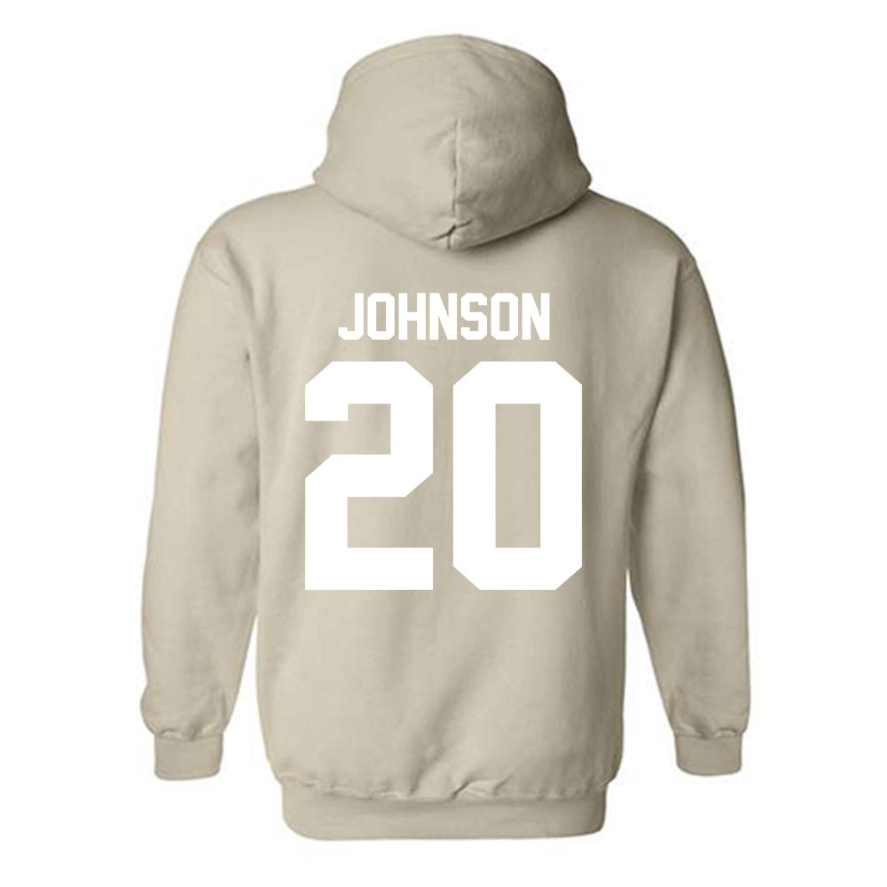 USF - NCAA Football : Jaylen Johnson - Classic Shersey Hooded Sweatshirt