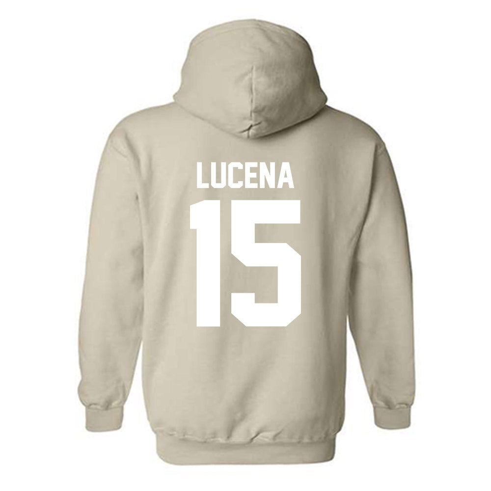 USF - NCAA Beach Volleyball : Raissa Lucena - Classic Shersey Hooded Sweatshirt-1
