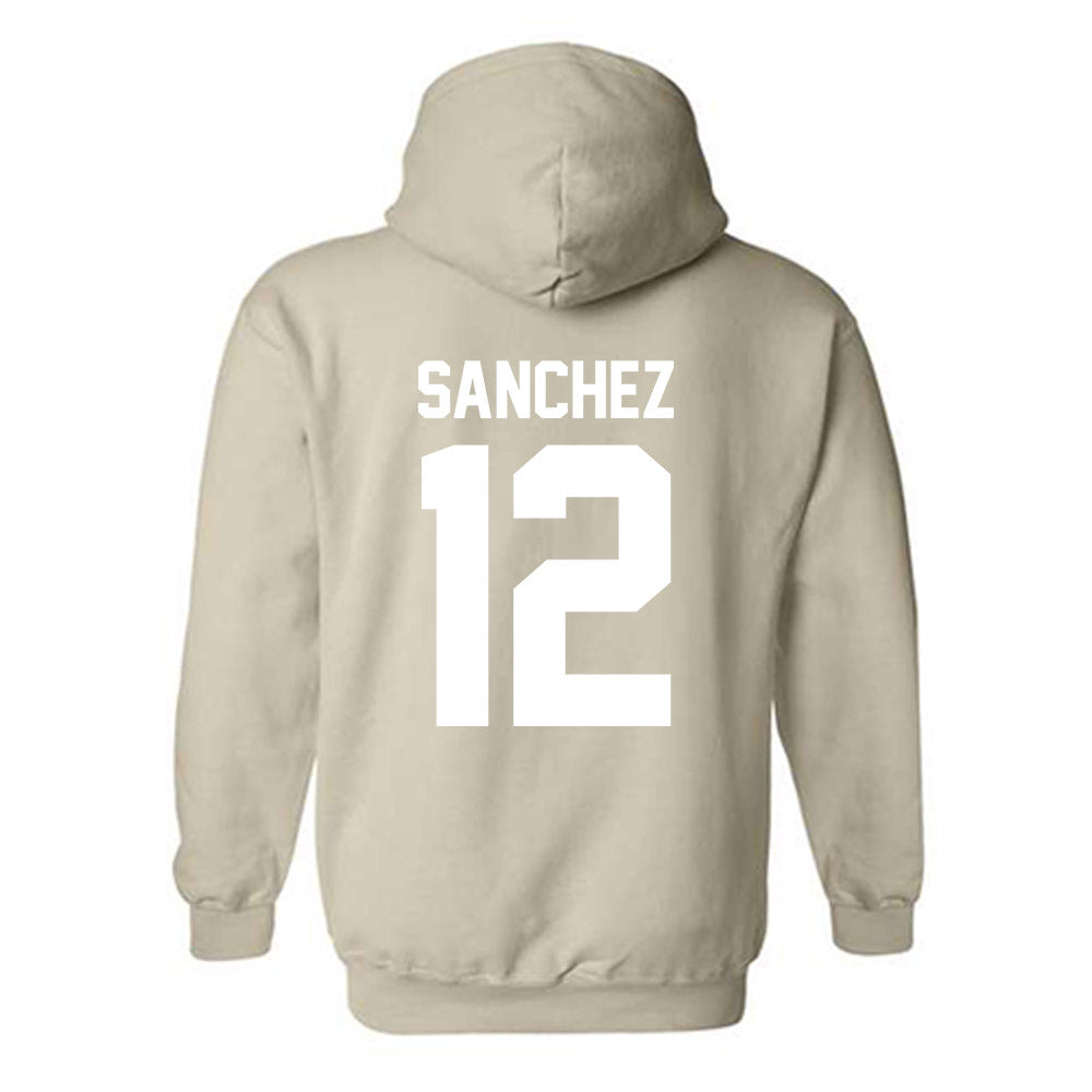 USF - NCAA Beach Volleyball : Aracelys Sanchez - Classic Shersey Hooded Sweatshirt-1