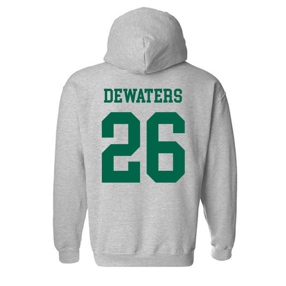 USF - NCAA Softball : Alice DeWaters - Classic Shersey Hooded Sweatshirt