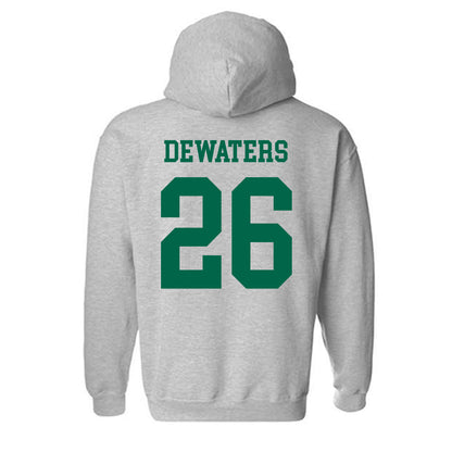 USF - NCAA Softball : Alice DeWaters - Classic Shersey Hooded Sweatshirt