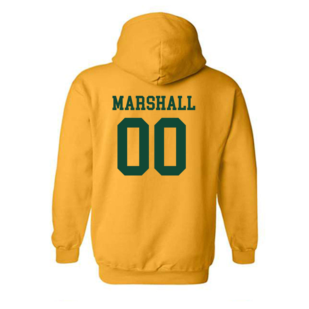 Baylor - NCAA Softball : Kaygen Marshall - Classic Shersey Hooded Sweatshirt-1