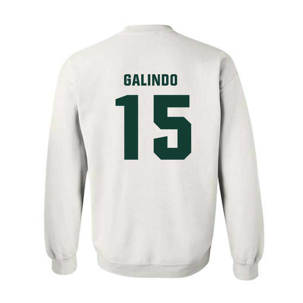 Michigan State - NCAA Softball : Alyssa Galindo - Crewneck Sweatshirt-1