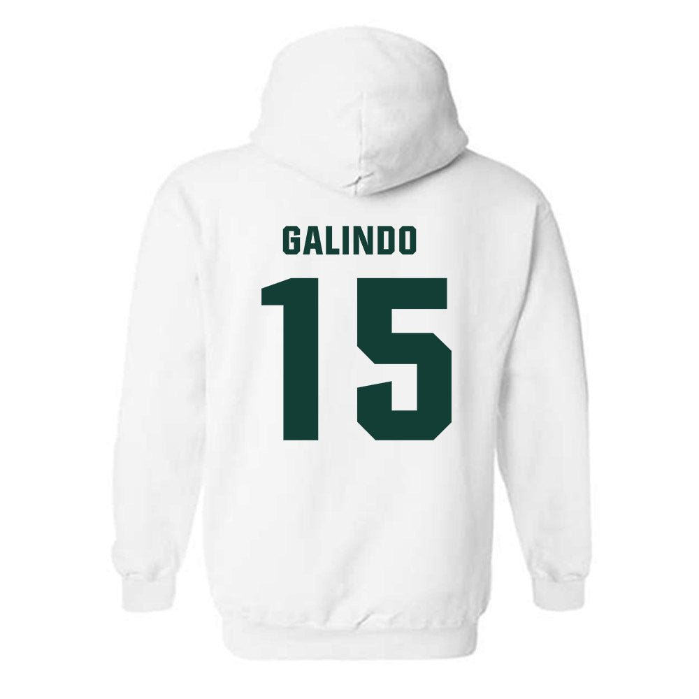 Michigan State - NCAA Softball : Alyssa Galindo - Hooded Sweatshirt-1