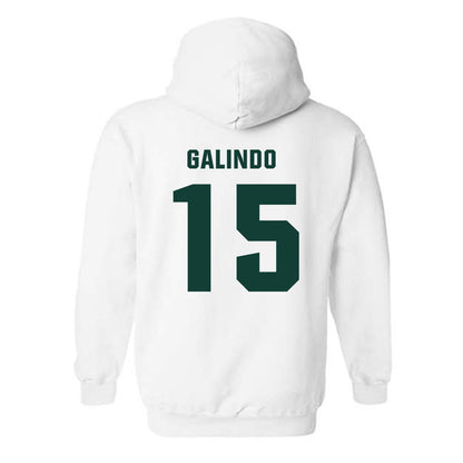 Michigan State - NCAA Softball : Alyssa Galindo - Hooded Sweatshirt-1