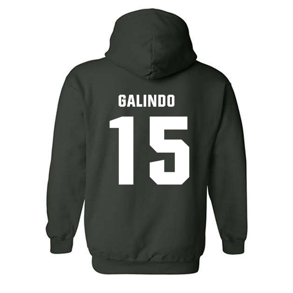 Michigan State - NCAA Softball : Alyssa Galindo - Hooded Sweatshirt-1