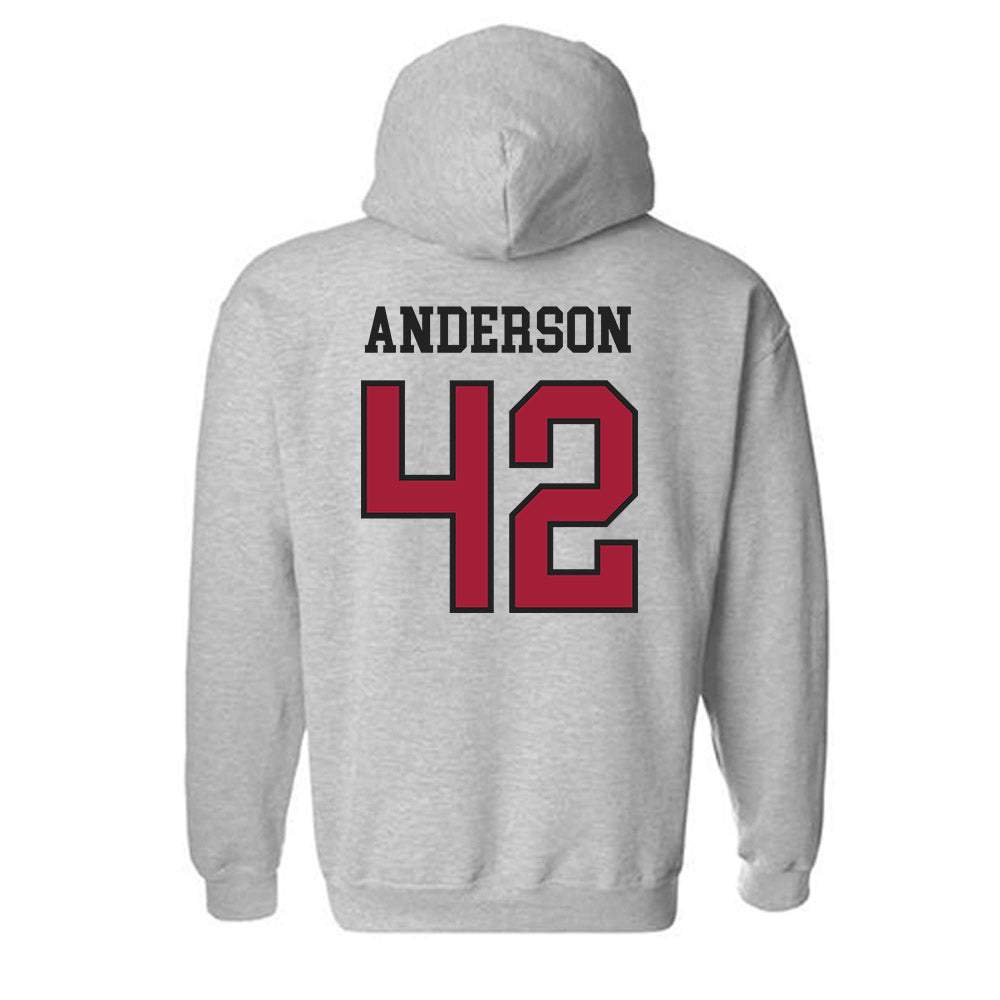 Arkansas - NCAA Baseball : Michael Anderson - Sports Shersey Hooded Sweatshirt-1