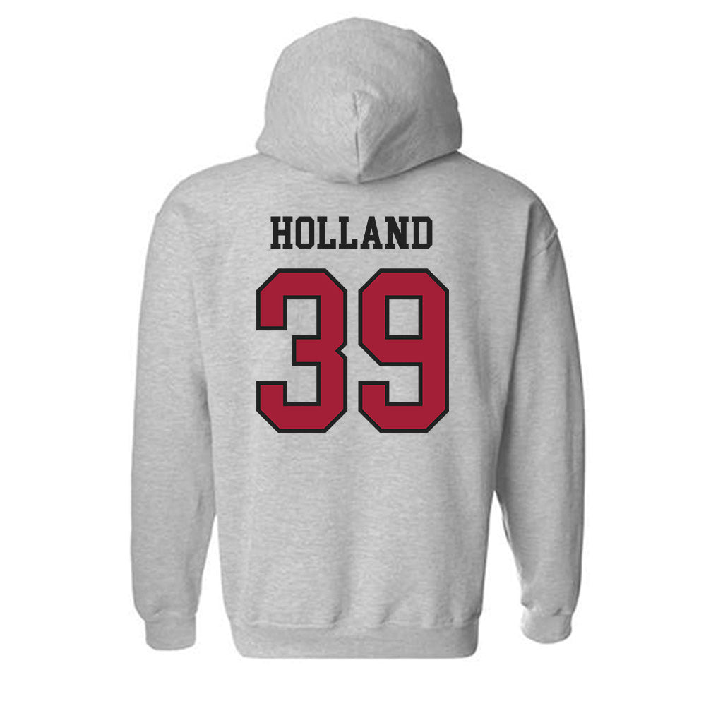 Arkansas - NCAA Baseball : Tucker Holland - Hooded Sweatshirt Sports Shersey