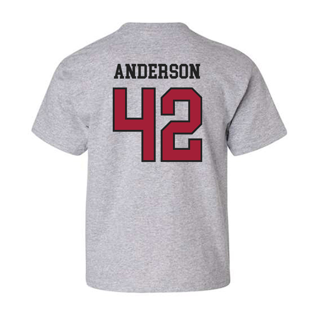 Arkansas - NCAA Baseball : Michael Anderson - Sports Shersey Youth T-Shirt-1