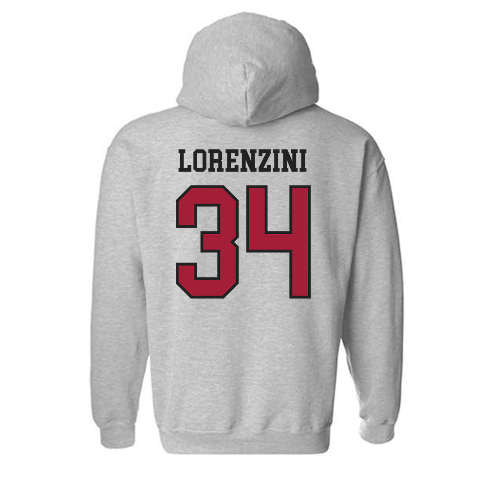 Arkansas - NCAA Baseball : Joey Lorenzini - Sports Shersey Hooded Sweatshirt-1
