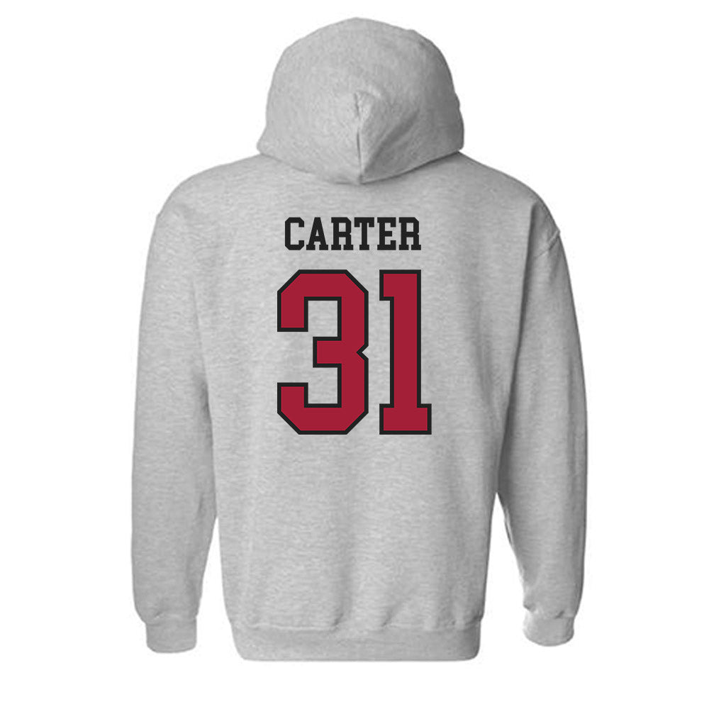 Arkansas - NCAA Baseball : Dylan Carter - Hooded Sweatshirt Sports Shersey