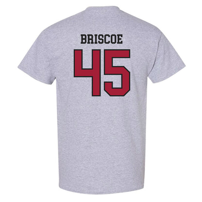 Arkansas - NCAA Baseball : Tye Briscoe - Sports Shersey T-Shirt-1