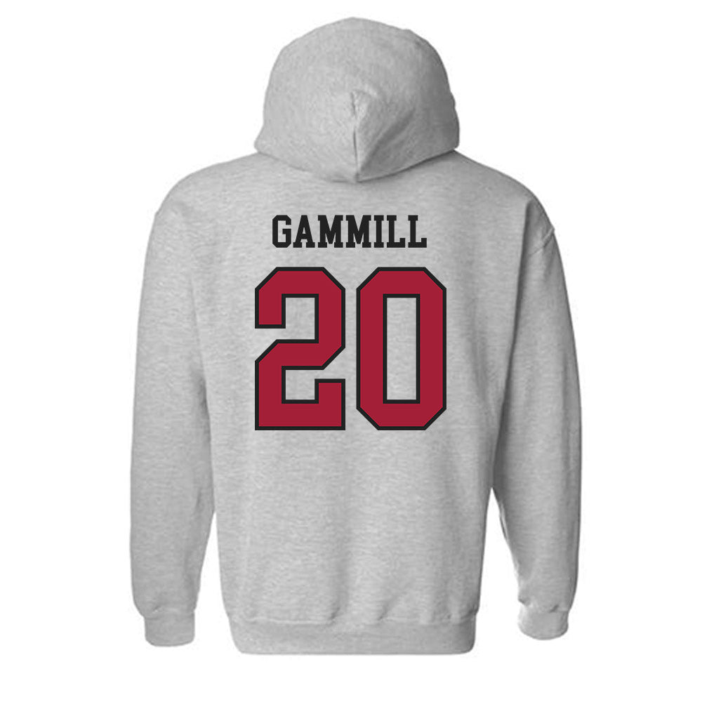 Arkansas - NCAA Softball : Hannah Gammill - Hooded Sweatshirt Sports Shersey