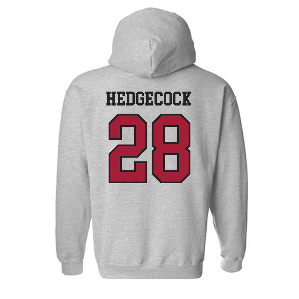 Arkansas - NCAA Softball : Rylin Hedgecock - Hooded Sweatshirt Sports Shersey