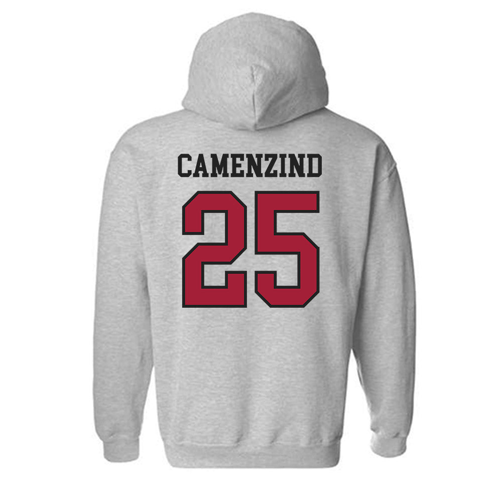 Arkansas - NCAA Softball : Hannah Camenzind - Hooded Sweatshirt Sports Shersey