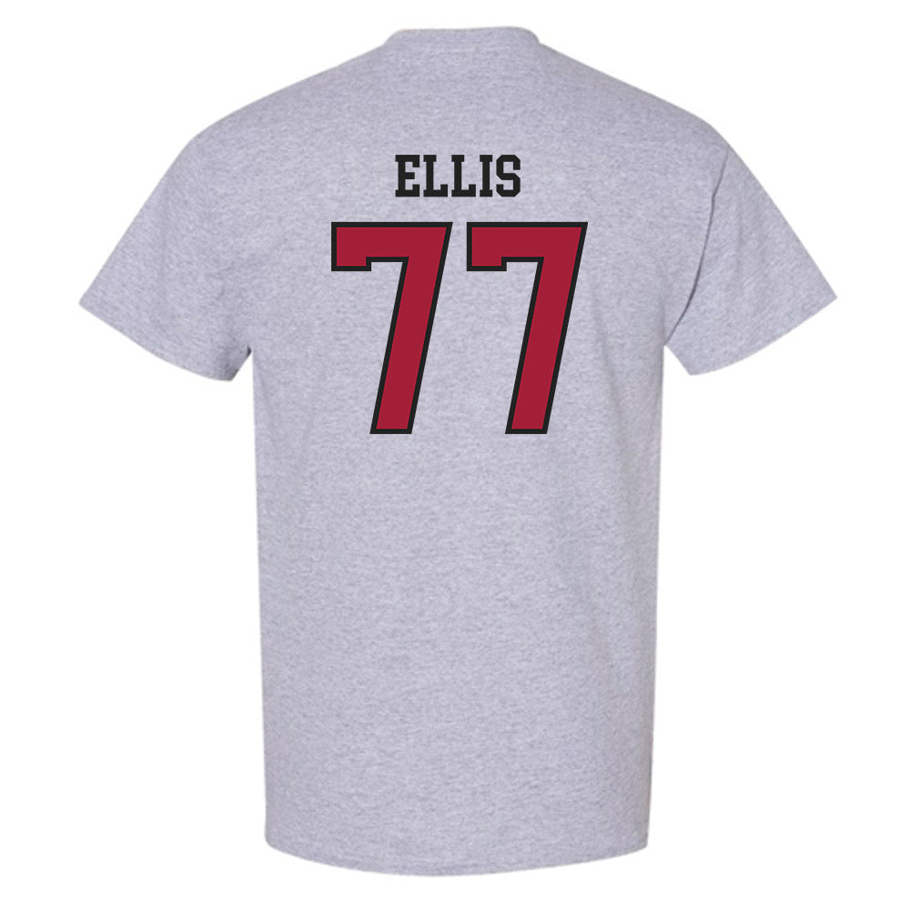 Arkansas - NCAA Softball : Bri Ellis - T-Shirt Sports Shersey