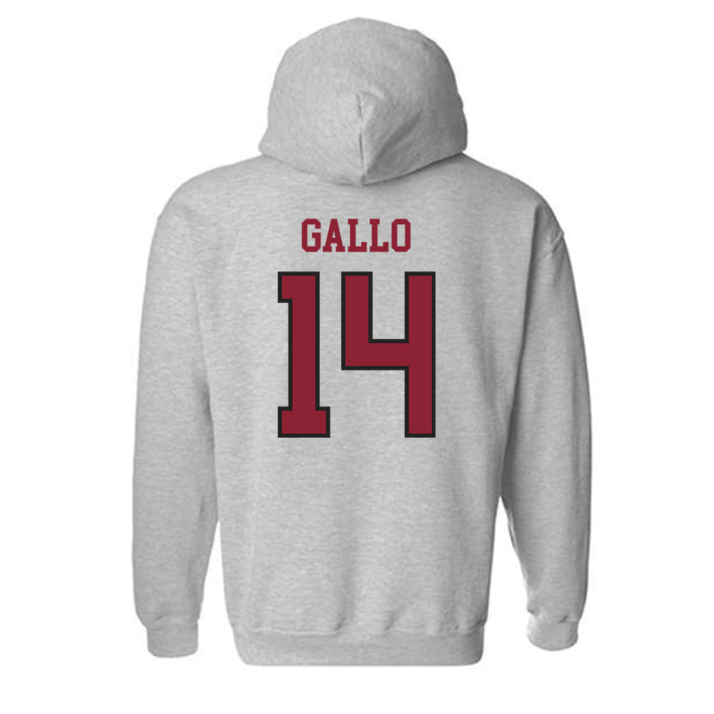 Boston College - NCAA Baseball : Luke Gallo - Hooded Sweatshirt-1