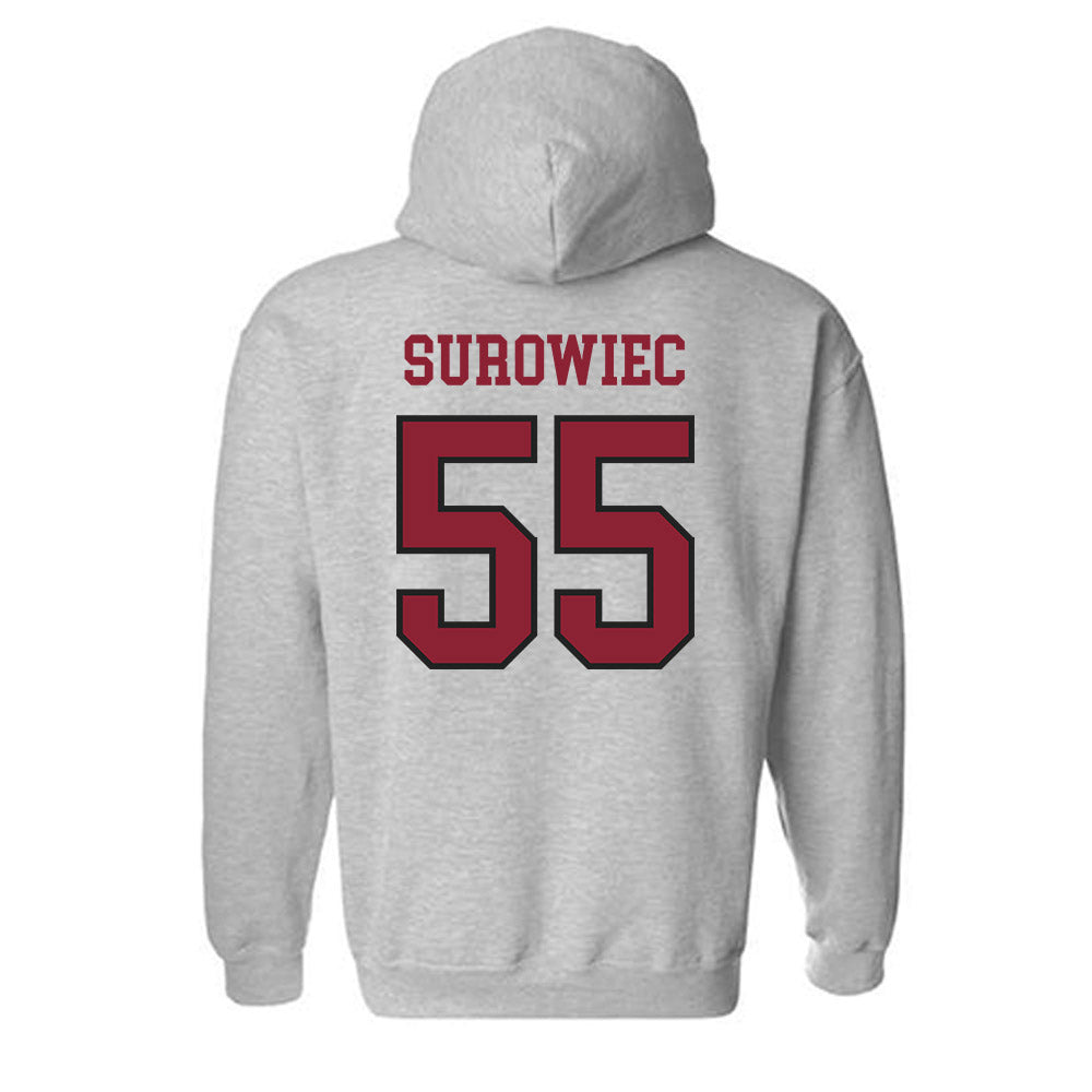 Boston College - NCAA Baseball : Daniel Surowiec - Hooded Sweatshirt-1