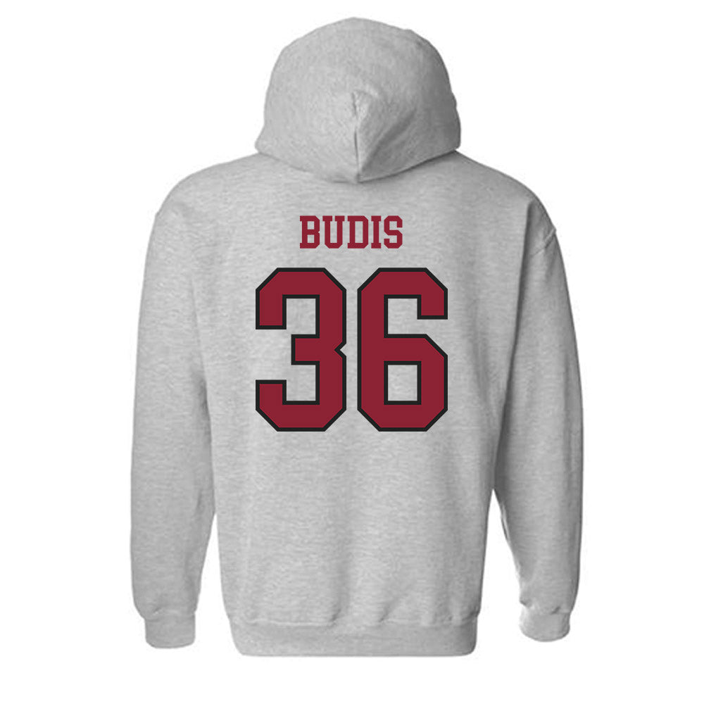 Boston College - NCAA Baseball : Sean Budis - Hooded Sweatshirt-1