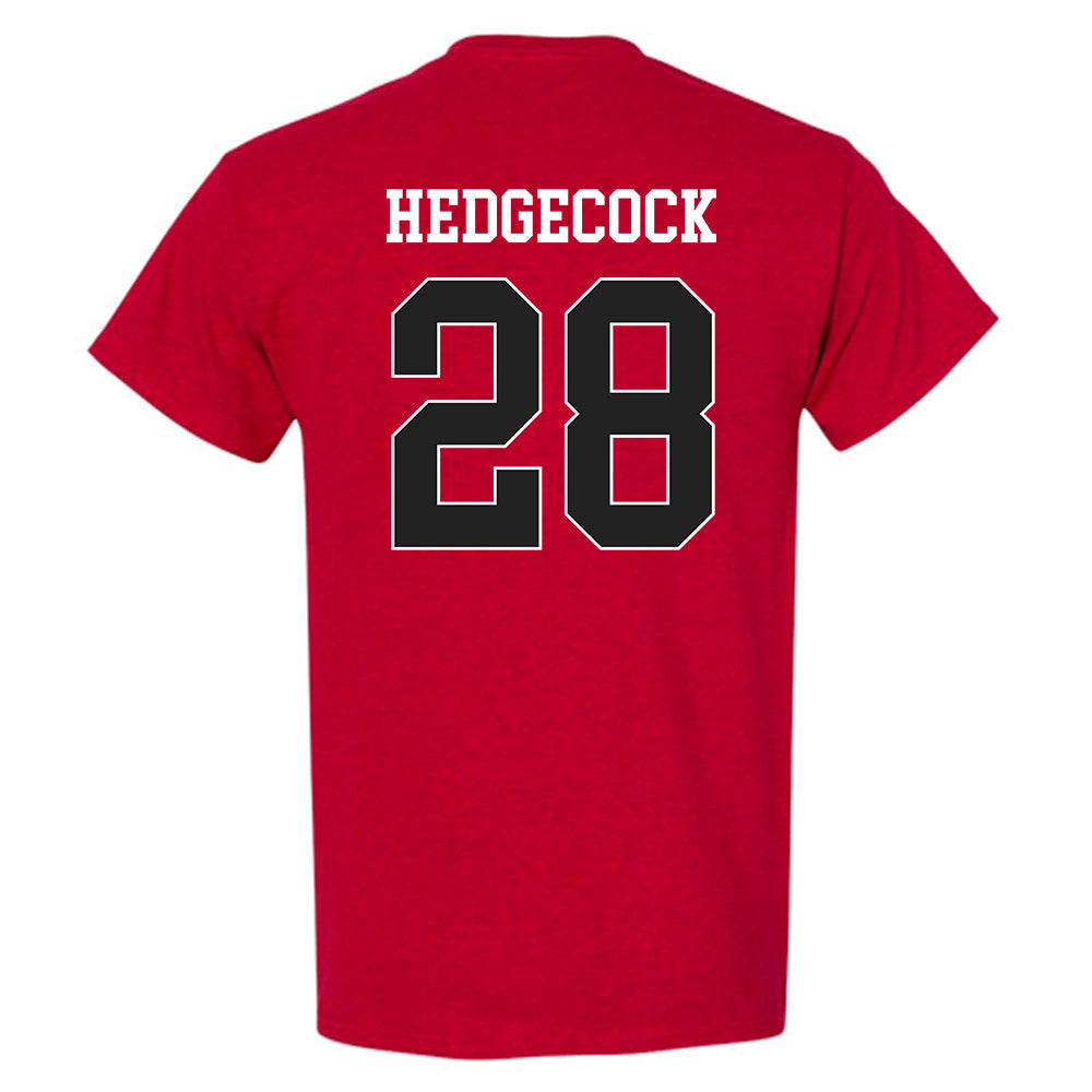 Arkansas - NCAA Softball : Rylin Hedgecock - T-Shirt Sports Shersey