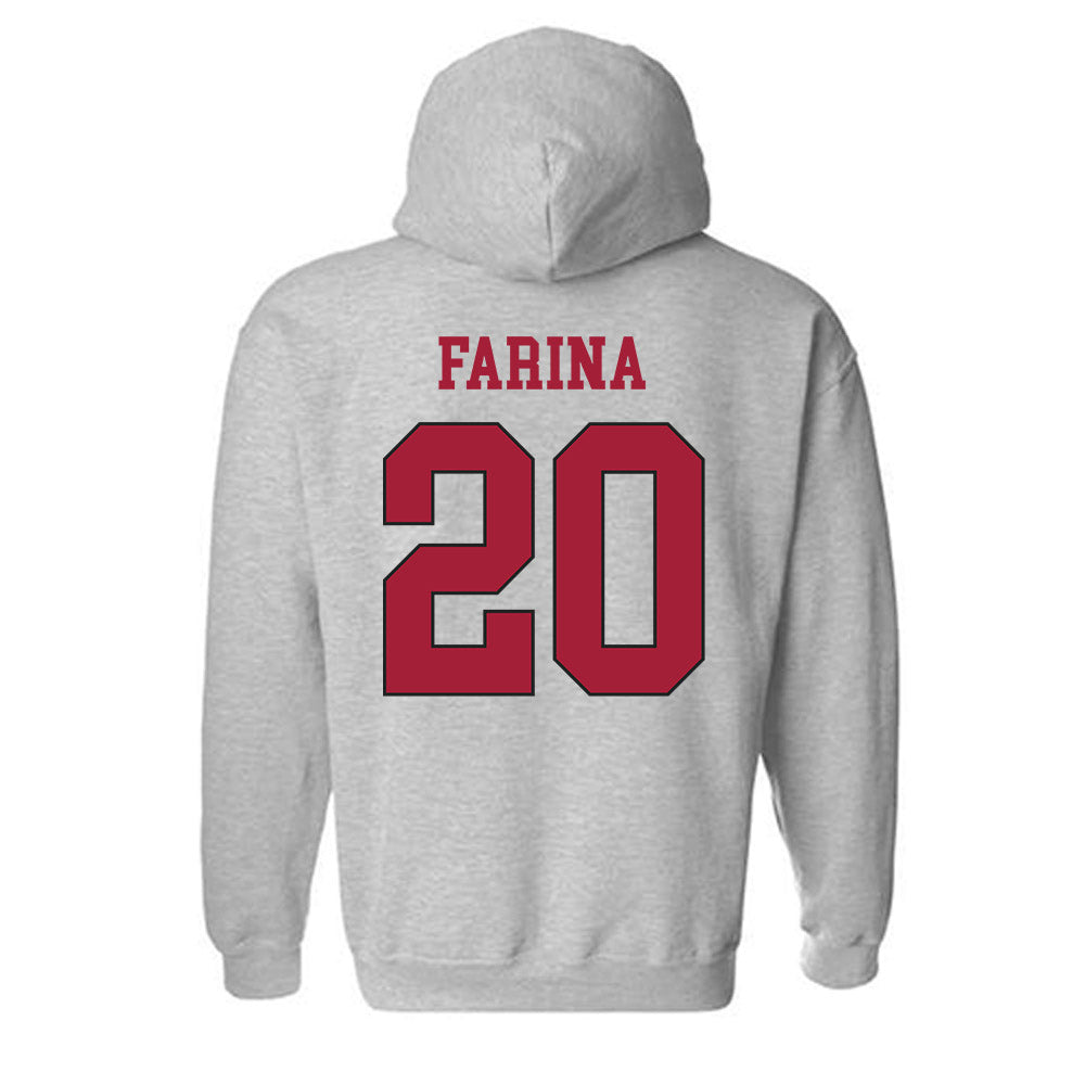 St. Joe's - NCAA Softball : Ava Farina - Classic Shersey Hooded Sweatshirt-1