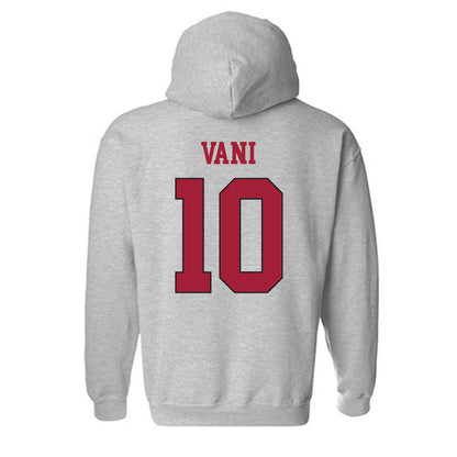 St. Joe's - NCAA Men's Soccer : Patrick Vani - Classic Shersey Hooded Sweatshirt