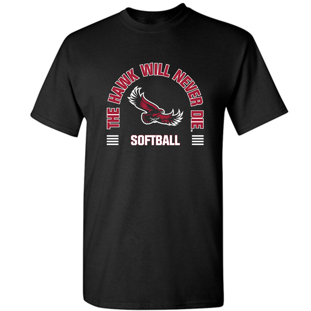 St. Joe's - NCAA Softball : Ava Farina - Classic Shersey T-Shirt-0
