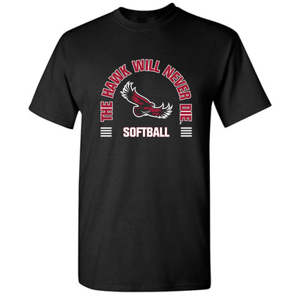 St. Joe's - NCAA Softball : Ava Farina - Classic Shersey T-Shirt-0