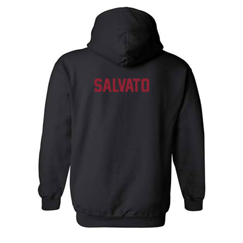 Iowa State - NCAA Women's Swimming & Diving : Sofia Salvato - Classic Shersey Hooded Sweatshirt-1
