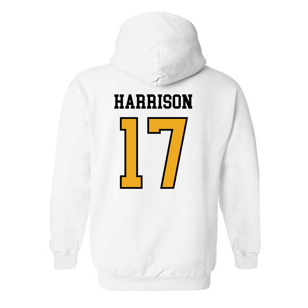 Missouri - NCAA Softball : Cierra Harrison - Hooded Sweatshirt Generic Shersey