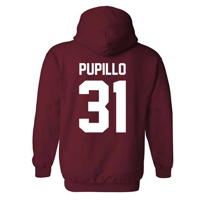 Alabama - NCAA Softball : Alexis Pupillo - Classic Shersey Hooded Sweatshirt-1
