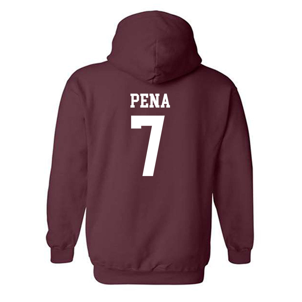 Texas State - NCAA Baseball : Daylan Pena - Hooded Sweatshirt Classic Shersey