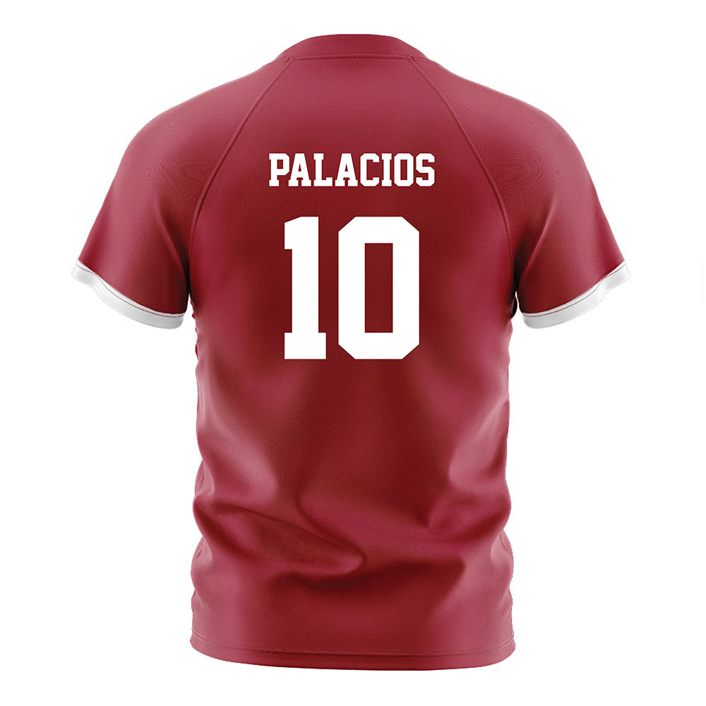 Arkansas - NCAA Women's Soccer : Camila Palacios - Cardinal Soccer Jersey-1
