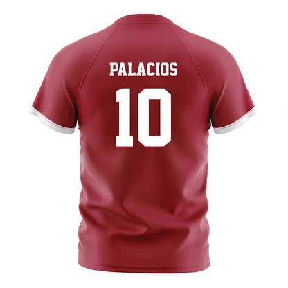 Arkansas - NCAA Women's Soccer : Camila Palacios - Cardinal Soccer Jersey-1