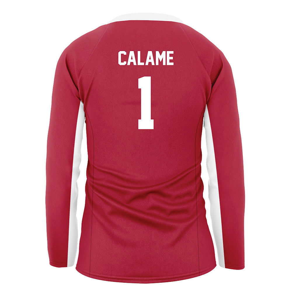 Arkansas - NCAA Women's Volleyball : Avery Calame - Cardinal Red Volleyball Jersey
