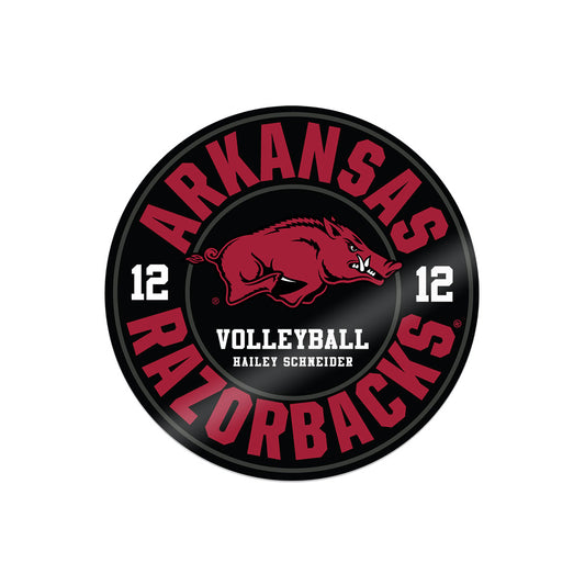 Arkansas - NCAA Women's Volleyball : Hailey Schneider - Stickers