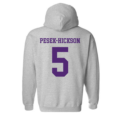 Northern Iowa - NCAA Football : Amauri Pesek-Hickson - Classic Shersey Hooded Sweatshirt