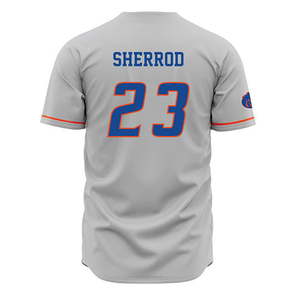 Boise State - NCAA Football : Malik Sherrod - Grey Jersey-1