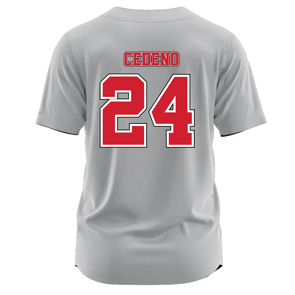 Marist - NCAA Baseball : Luis Cedeno - Jersey-1